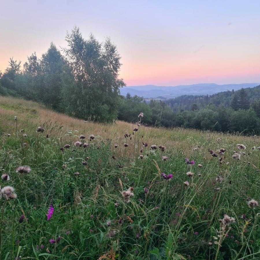 Apartament Domek W Gorach Gorce Pieniny Tylmanowa Kültér fotó