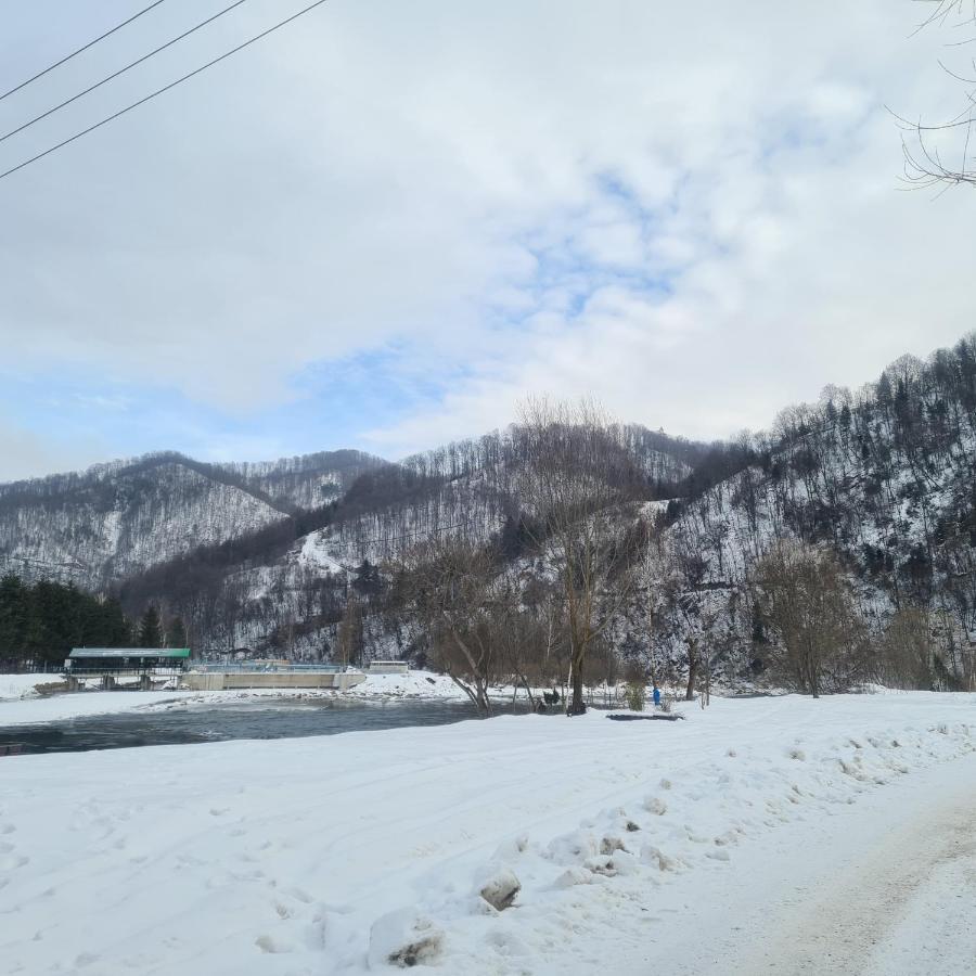 Apartament Domek W Gorach Gorce Pieniny Tylmanowa Kültér fotó